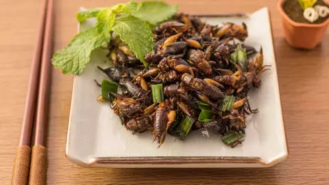 În următorii ani vom ajunge să mâncăm insecte… cu aromă de ciocolată sau vanilie