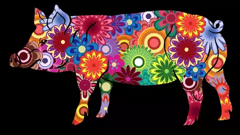 Horoscopul chinezesc 2022 - Porc