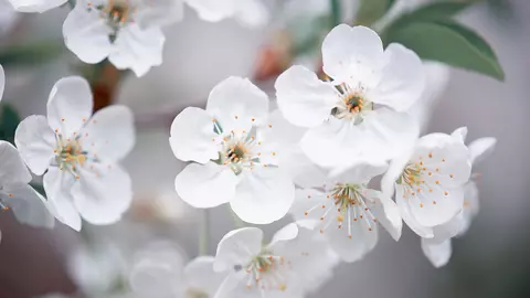 Horoscopul lunii APRILIE