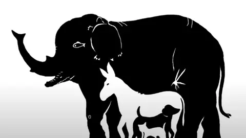 Numărul de animale pe care le vezi în imagine spune mult despre tine