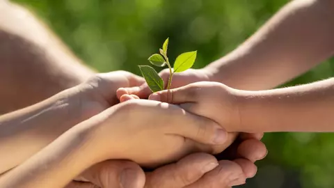 10 idei simple prin care poți avea grijă de mediu