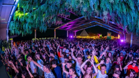 Line-up-ul complet pentru scenele Daydreaming și Oasis, la Neversea