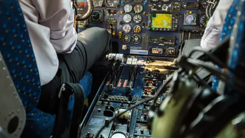 Cum a murit un pilot după ce a fost mușcat de un țânțar?