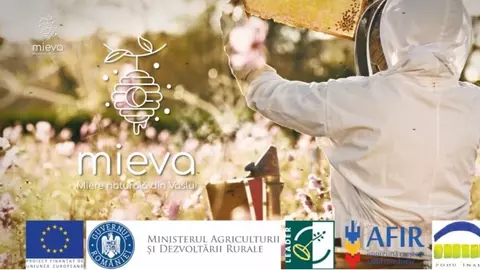 5 motive să cumperi miere naturală