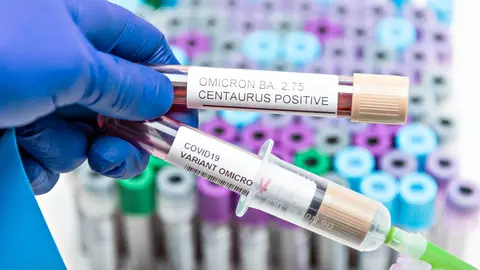 Ce este Centaurus, noua subvariantă Omicron investigată de OMS?