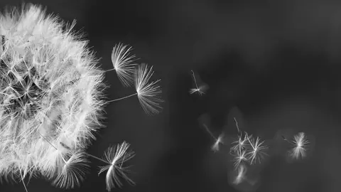 Horoscop miercuri 11 octombrie, se apropie valul schimbării