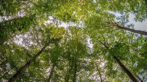 „Prin ochi de copil”, expoziție caritabilă cu fotografii realizate de copiii instituționalizați, la Muzeul Țăranului Român