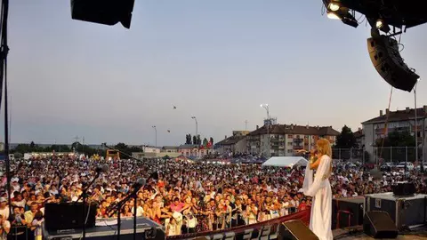 Cine e artista care a cântat la Calafat, la târgul fără spectatori. A lucrat și în televiziune