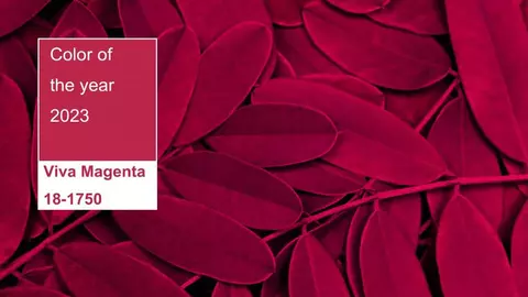 Culoarea anului 2023 de la Pantone este o „nuanță neconvențională" derivată din cârmâz