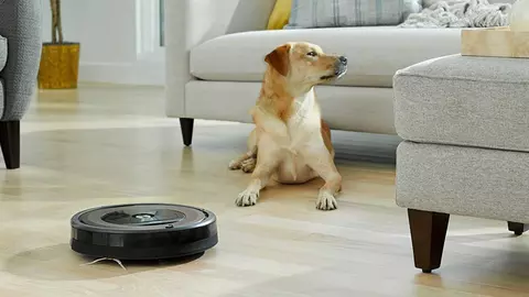 Cum împăcăm aspiratoarele robot și animalele de companie?