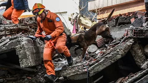 Seismolog: "Cutremurele din Turcia au deplasat scorța Anatoliei cu 10 metri"