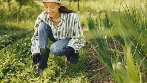 Creditele pentru agricultură în România: ce opțiuni avem la dispoziție?