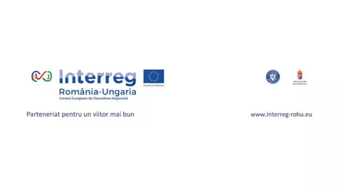 Infecțiile tractului urogenital la femei - Raluca Scarlat, Monica Licker