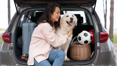 În vacanță cu animalul de companie: 7 sfaturi pentru a călători fără probleme