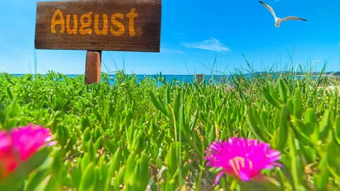 Horoscopul lunii AUGUST 2023