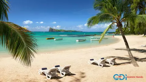 Descoperă aici oferte vacanțe la mare de la CDI Ognivia Travel!