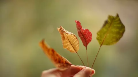 Horoscopul lunii SEPTEMBRIE 2023