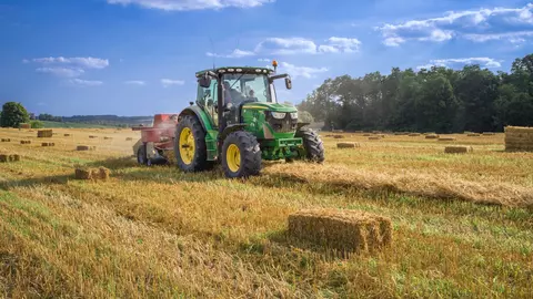 Index salarial: Cât câștigă angajații din agricultură, construcții, industria alimentară și IT – domeniile care vor rămâne fără facilități fiscale, din toamnă