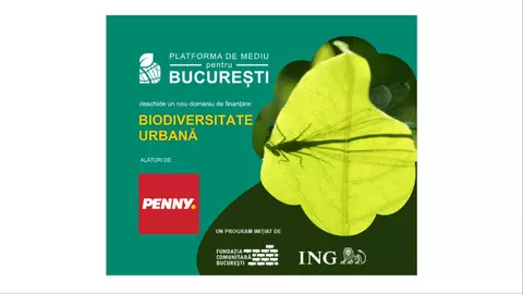 PENNY este alături de Platforma de mediu pentru București în noul domeniu de finanțare - biodiversitate urbană