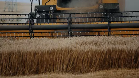 2024 începe cu mutări-cheie în agricultură: VECTR HOLDINGS își consolidează angajamentul față de agricultură prin două noi achiziții, Padova Agricultură și Contara