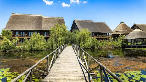 Delta Dunării nu e o simplă destinație, ci o experiență pe care n-o vei uita vreodată!