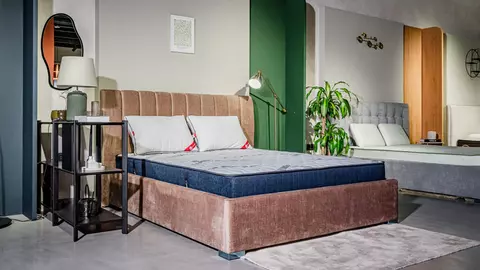 Acarienii și saltelele: legătura dintre cele două 