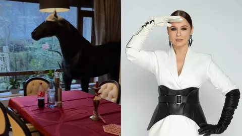 Cum arată sufrageria Andreei Marin, decorată de Crăciun. Are trei brazi împodobiți, dar și multe figurine