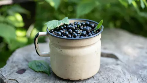 Coacăzele, un boost natural pentru sănătate - cum te pot ajuta aceste mici fructe să te simți mai bine?