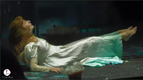 Ofelia. Afterlife, spectacolul Antoanetei Cojocaru, revine la Teatrul Metropolis pe 19 și 20 martie