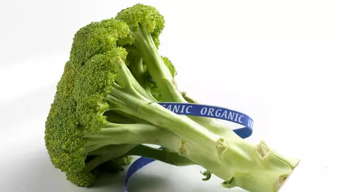 De ce să adaugi broccoli în dieta zilnică. E superalimentul care îți îmbunătățește sănătatea