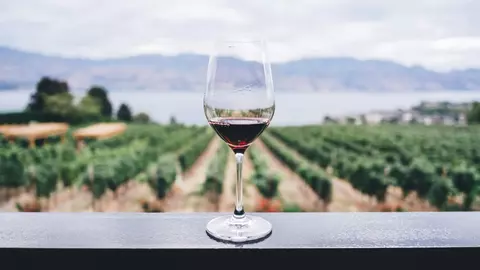 De ce vinul rămâne băutura preferată în orice sezon