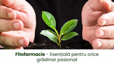 Fitofarmacie – Esențială pentru orice grădinar pasionat