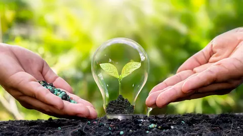 Îngrășămintele organice, secretul unei grădini ecologice și roditoare