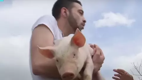 Cum a ajuns David Pușcaș să muncească la o fermă de porci: „Îmi vine să vomit, nu mai pot”. La 28 de ani, nu are un job stabil