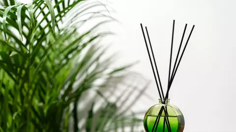 Top 5 odorizante care transformă atmosfera oricărui spațiu