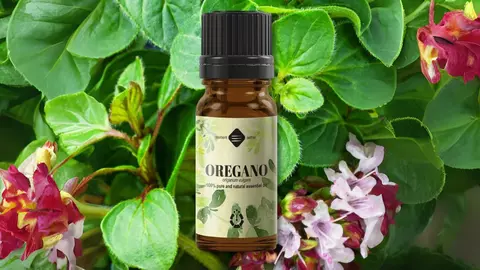 Puterea plantelor: Ghid profesional pentru utilizarea uleiurilor esențiale de lavandă, tămâie și oregano în cosmetică