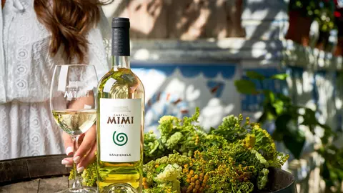 Top 5 tipuri de vin alb sec produse în Moldova și cu ce le asortezi în farfurie