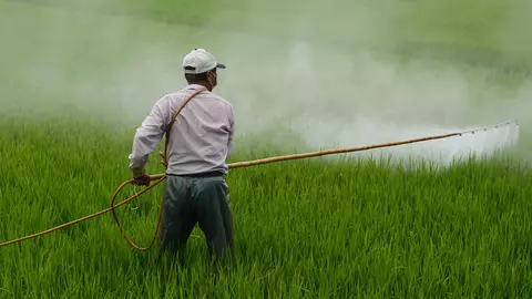 Erbicide – soluția inteligentă pentru culturile tale sănătoase