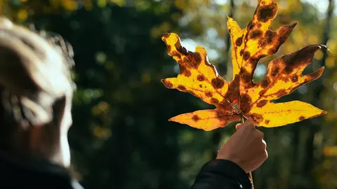 Petele pigmentare: ce sunt, de ce apar și cum poți scăpa de ele?