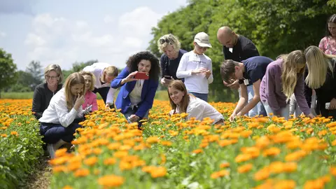 EXCLUSIV. Cum se fabrică celebrele produse Weleda! Am vizitat grădina de plante medicinale din Germania, un paradis de 23 de hectare