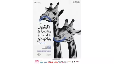 Teatrul EXCELSIOR anunță prima premieră a stagiunii 2025–2026: Tristețe și bucurie în viața girafelor de Tiago Rodrigues, în regia lui Irisz Kovacs