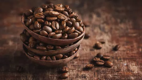 Diferențele dintre cafeaua arabica și robusta explicate simplu