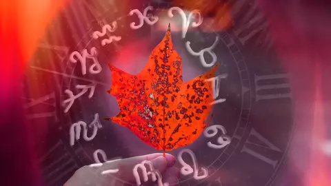 Horoscopul lunii noiembrie 2025. Luna renașterii interioare și a viselor împlinite