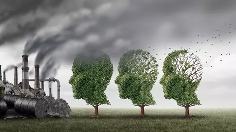 Poluarea aerului atacă în mod direct creierul și favorizează boala Alzheimer