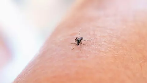 Spray repelent: protecție eficientă împotriva insectelor