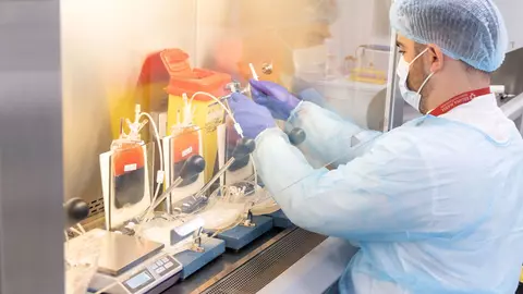 Celulele stem, medicamentele viitorului. Banca Centrală de Celule Stem ”Regina Maria”, prima din România autorizată pentru terapii avansate
