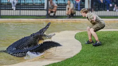 Familia regretatului Steve Irwin, la un pas de o nouă tragedie. Fiul lui, în pericol de a fi atacat de un crocodil