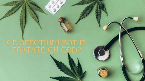 Ce afecțiuni pot fi tratate cu CBD?