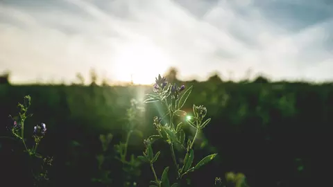 Top 3 secrete ale unei dimineți perfecte