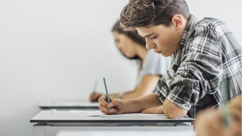 subiecte și bareme de corectare pentru proba la alegere